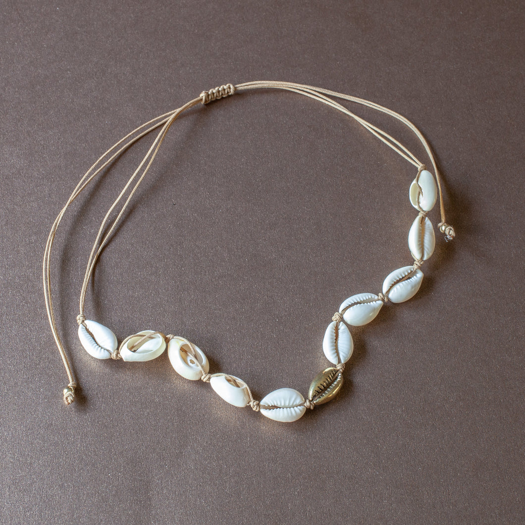 cowri shells choker
